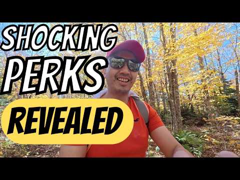 What Are The BENEFITS of Tangerine Bank World Mastercard Credit Card You Never Knew Existed? (2024)