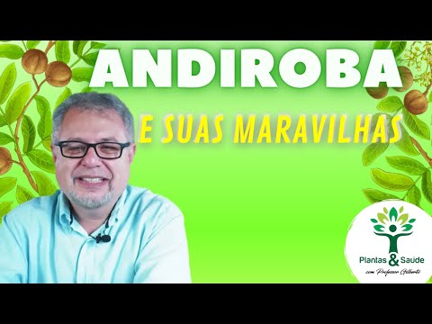 ANDIROBA AND ITS WONDERS - PLANTS & HEALTH