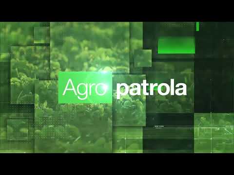 BASF Agro Patrola 2020 - Kako zaštititi jabuku nakon završenog cvetanja - Sercadis®