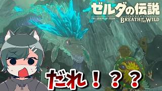 名作「ブレスオブザワイルド」を勉強しようぜ！～いや、だれ？？？？？～『ゼルダの伝説ブレスオブザワイルド』（再編集版）♯ 27