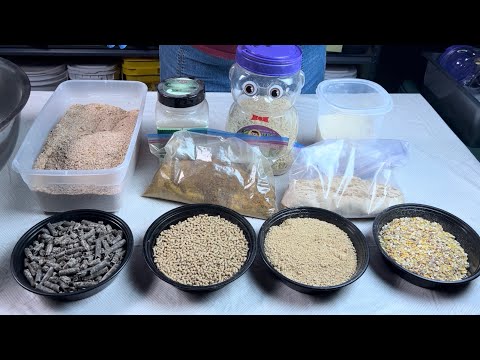 My Worm Chow Recipe for Happy Chonky Worms