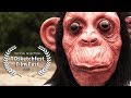 Curious George Official Trailer Parody