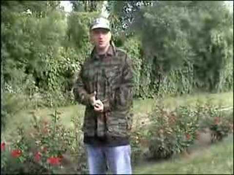 Numer Raz zaprasza na warsztaty producenckie na Bruku 2008!