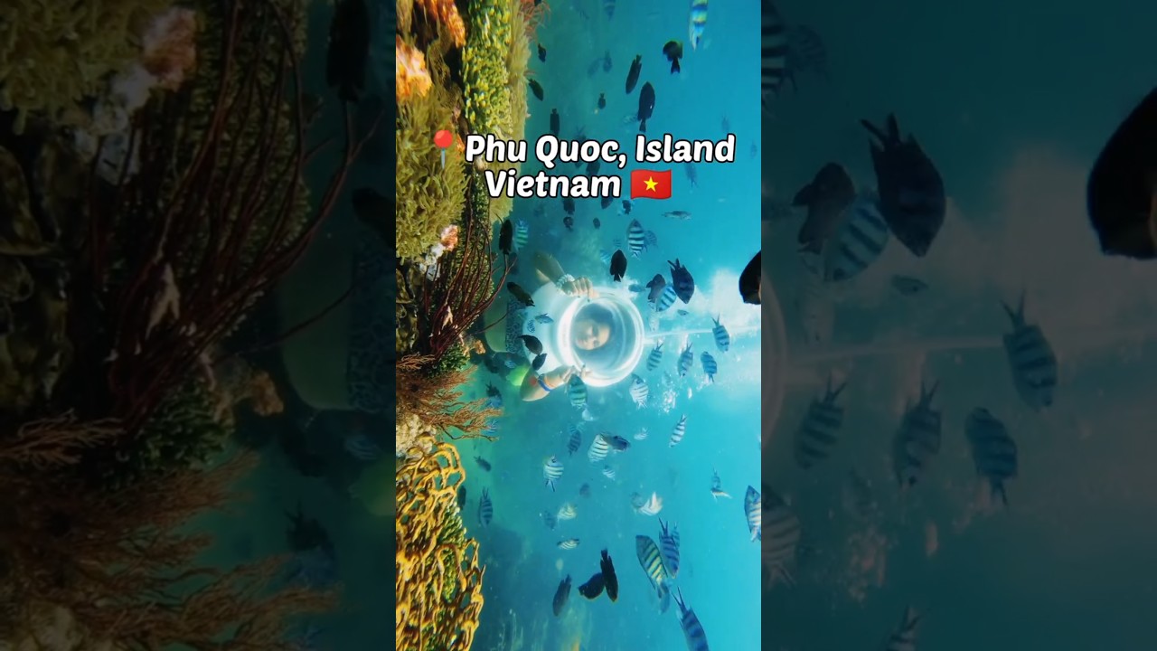 YouTube Short thumbnail