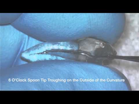 Terauchi File Retrieval Kit