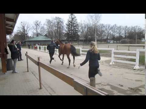 Caipirinha by Cash and Carry - Lord Z, *2013, licensing Munich, Feb16