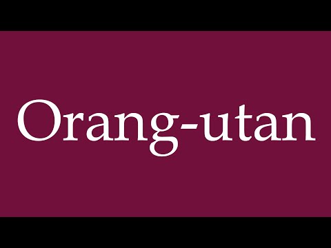 How to Pronounce ''Orang-utan'' Correctly in German