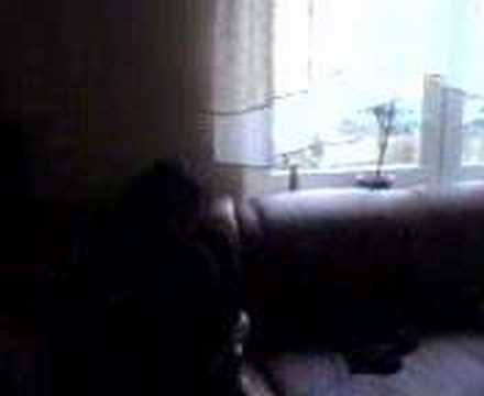 kiedy dzwoni nieznajomy