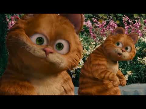 InShot 20211204 100050805