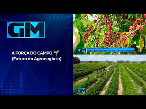 DESTAQUE RURAL: Alunos de Agronegócio do Ieptec vivenciam a produção de café em Acrelândia