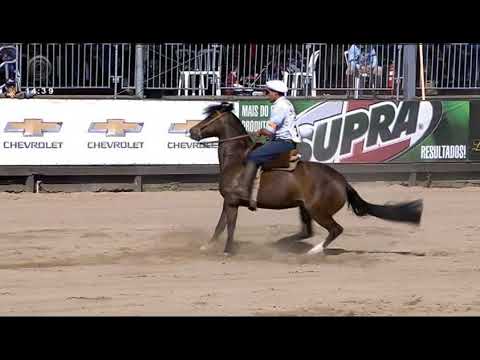 Final Freio de Ouro (RS) 2019 - 2º lugar fêmeas - Ibérica da Vendramin (prova: Bayard/Sarmento)