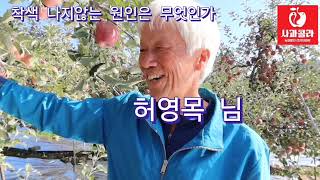 [사과재배] 올해 착색 잘나지 않는 이유/대책 /서상현 농학박사/ 2024 .10.25/문경 허영목과원