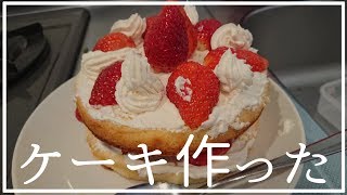 料理初心者だけど誕生日だからケーキ作って食べた