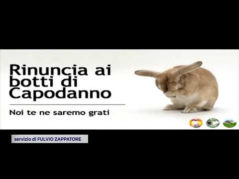 ROMAGNA: Capodanno senza botti, molti sindaci vietano i petardi in piazza | VIDEO