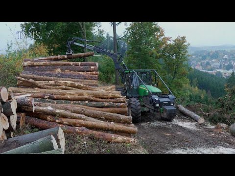 Úpice Těžba dřeva na Dlouhých záhonech v Úpici