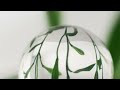 Tualetinis vanduo Issey Miyake L'eau D'issey Eau De Toilette Purškiklis ,50ml