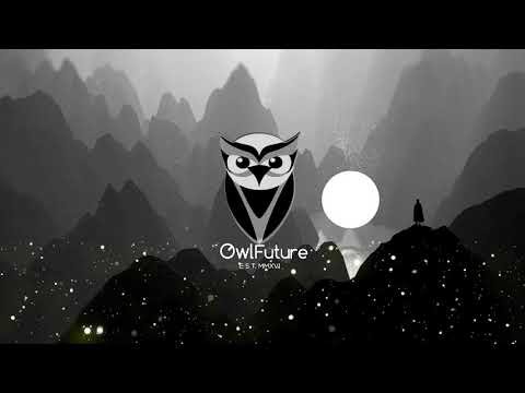 David Guetta X Martin Garrix X Brooks - Like I Do (Adrien Toma Remix)