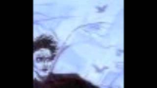 Winterreise (Winter's Journey) - Rückblick (Backward Glance)