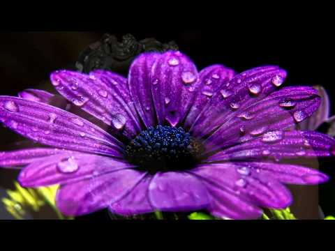 ✞ Meditácie Ľubomíra Stančeka | Popolcová streda - Pôst ako čas prípravy ticha Mt 6, 1-6. 16-18