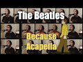 Beatles Because Acapella (One Man Choir) - Jaron ...