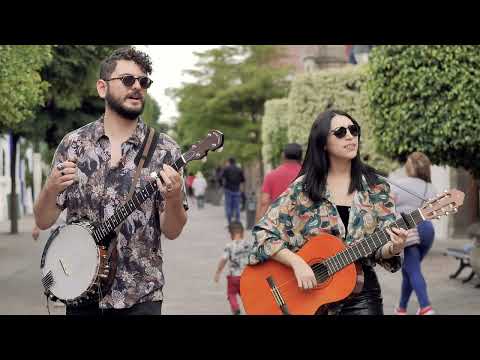 [4k] Magnolia - Silent Partner and Musicians playing their musical instruments Videos - No Copyright