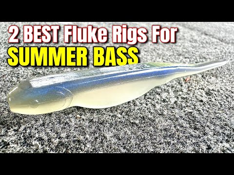 2 BEST Summer Fluke Fishing Rigs