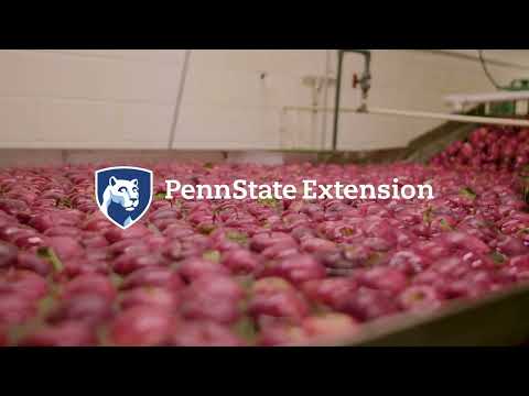Keeping Apples Safe in the Packinghouse
