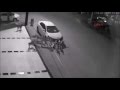 Dogs Destroy Car 2016