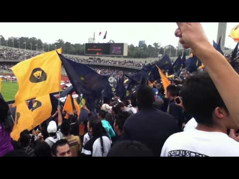 "ReBEL.. CUANTO DARIA POR GRITAR PUMAS CAMPEON!!" Barra: La Rebel &bull; Club: Pumas