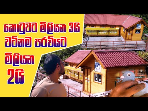 මෙන්න අලුත්ම තාක්ෂණයට හදපු ලංකාවටම තියෙන සුපිරි පරවි කොටුව | Pet Talk