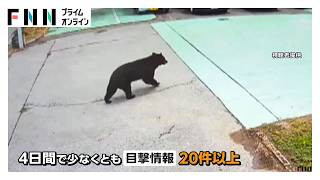 「もう1匹いるかも」宇都宮の住宅地にクマ 捕獲後も生活に変化 短い距離でも“タクシー移動”増加 “2頭目”に警戒続く（2026年06月10日）