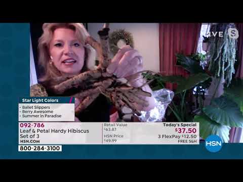 HSN | AT Home 03.05.2021 - 09 AM