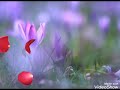 NATASZA ZYLSKA - Pik,pik,pik. NATASZA ZYLSKA - Pik,pik,pik.