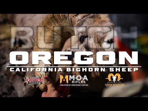 Oregon - California Bighorn Sheep - MOA Rifles + Sheep Mountain Outfitters