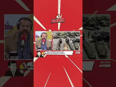 ¡Se rindieron! Ocho presuntos integrantes del Clan del Golfo se entregaron al Ejército en Chocó