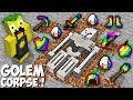 I found THE CORPSE OF A RAINBOW GOLEM in Minecraft ! SECRET DEAD GOLEM !