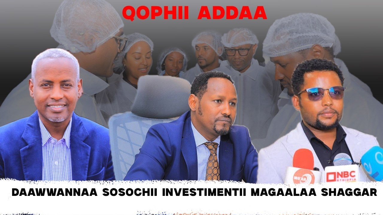 Daawwannaa sosochii investimentii Magaalaa Shaggar - Qophii Addaa