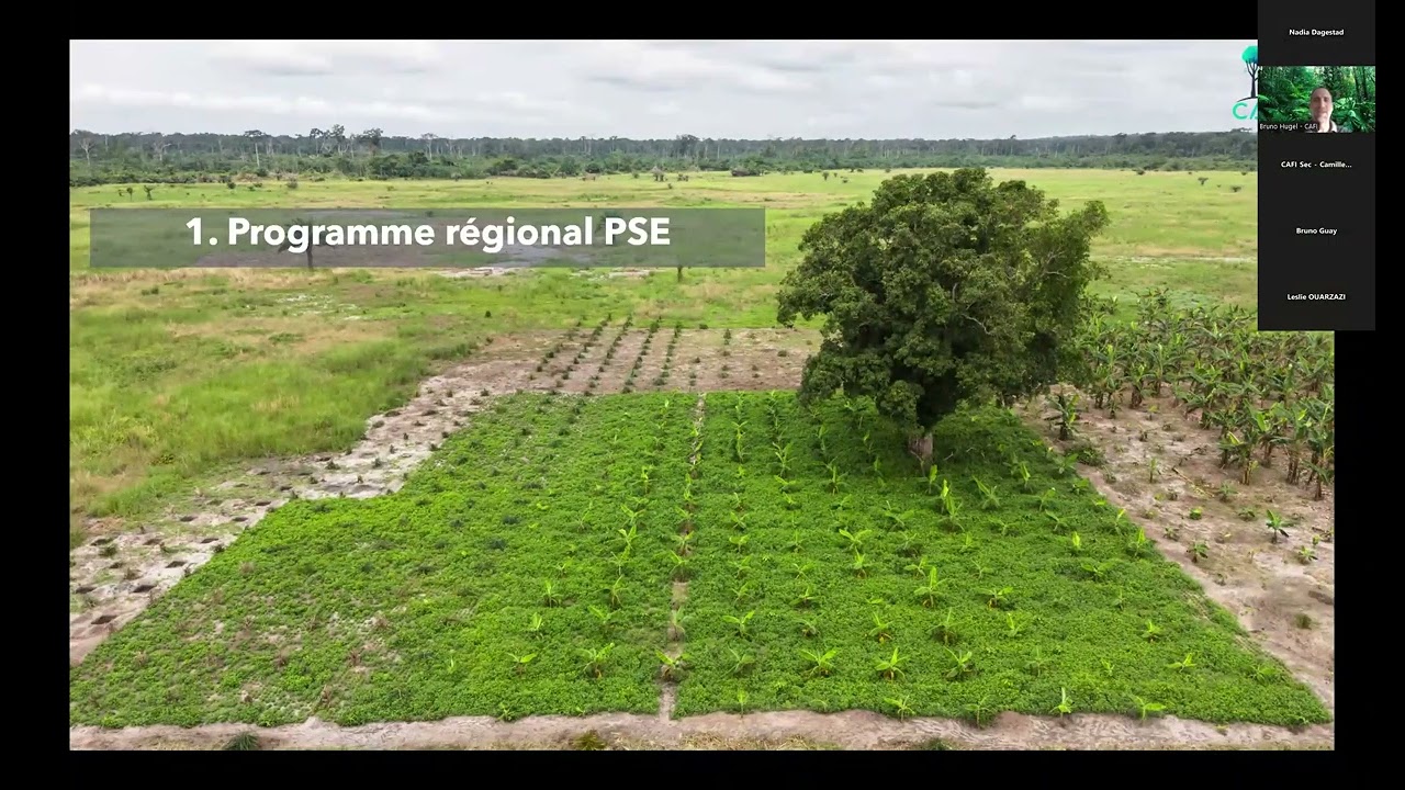 Session d'information sur l'Appel à Manifestation d'Intérêt PSE RDC, Congo et RCA
