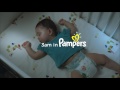 Pampers Baby Dry 3am
