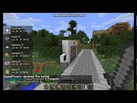 Pixelmon SMP Part 31: Gym Battles