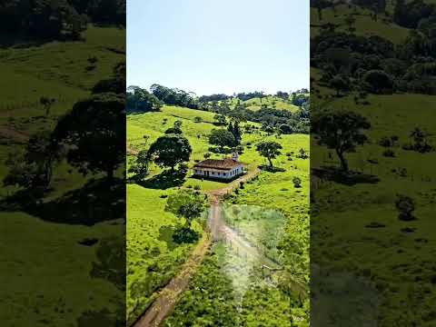 Município de Dom Viçoso no Circuito das Águas MG Shorts