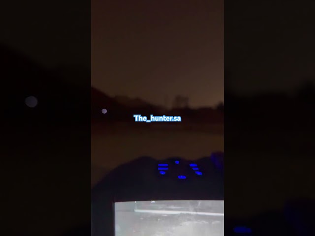 دربيل ليلي النمر