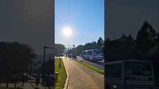 旧車体の広島バス 2025年6月27日