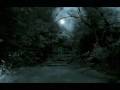 Devils Puzzle