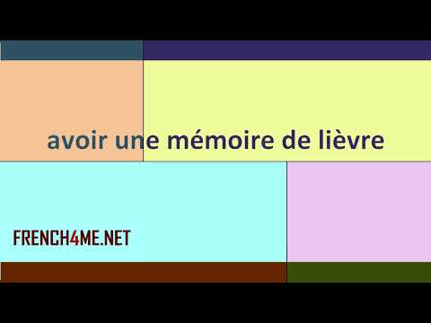 French For Beginners  I  How to pronounce  I avoir une mémoire de lièvre