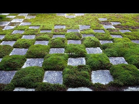 チリの登山者のための居心地の良い小さな避難所のシェルターの下にある特注の出窓とパノラマの景色!  庭園