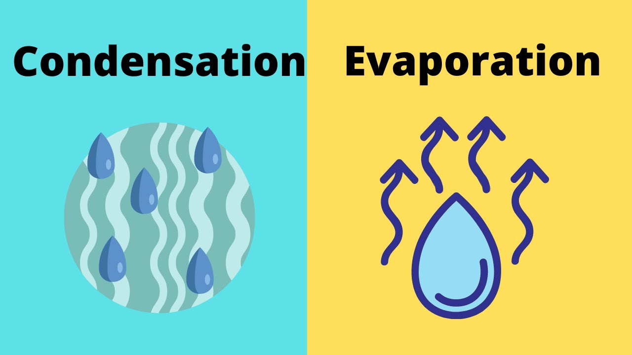 In which ways are evaporation and condensation similar quizlet?