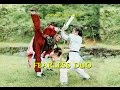 Wu Tang Collection Fearless Duo