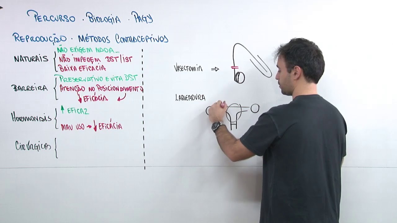 Biologia -Reprodução Humana Métodos Contraceptivos - Prof. Pagy