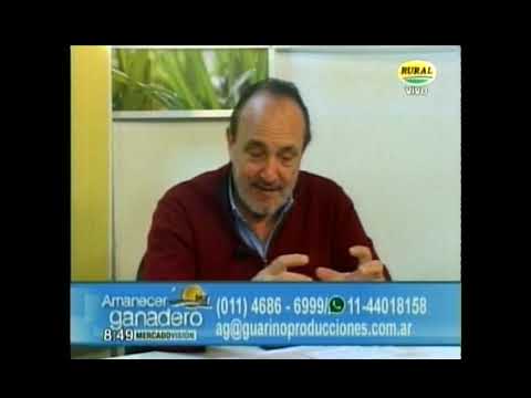 Programa Amanecer Ganadero, Canal Rural. Con Alfredo Guarino y Silvio Baicco
